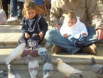 DSCN6648_7639