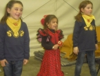 DSCN6741_7731