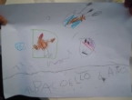 DSCN6861_7851