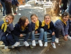 DSCN6867_7857