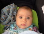 DSCN7260_8245
