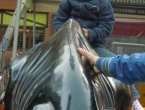 DSCN7269_8254