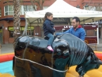 DSCN7273_8258