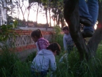 IMAG0286