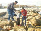 DSCN7639_8620
