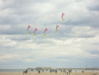 DSCN7666_8840