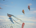 DSCN7670_8844