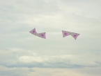 DSCN7685_8859