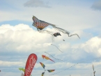 DSCN7690_8864