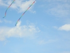 DSCN7691_8865