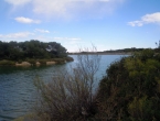 DSCN7730_8904