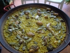 DSCN7848_9009