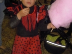 DSCN7930_9083