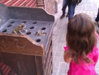 IMAG0322