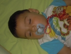 DSCN8174_9311