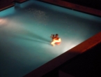 DSCN8306_9426