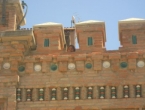 DSCN8396_9515