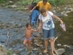 DSCN8841_9946