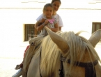 DSCN8913_10218
