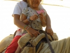DSCN8915_10220