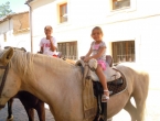 DSCN8917_10222