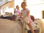 DSCN8919_10224