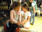 DSCN8977_10275