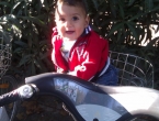 IMAG0936
