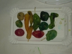 DSCN9141_9956