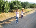 DSCN9215_10028