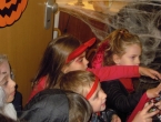DSCN9343_10152