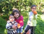 DSCN9559_10365