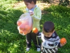 DSCN9562_10368