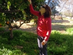 DSCN9563_10369