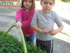 DSCN9580_10386