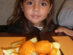 p1020087