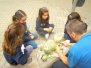 20130309 Concurso paellas