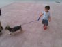 20130708 Paseando unos perros