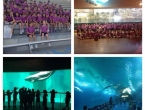 Durmiendo con tiburones II
