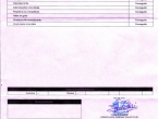 Notas finales de Alba