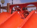 imag1981