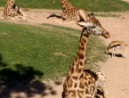 img_20150401_162226207