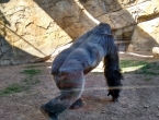 img_20150401_165757752_hdr