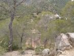 img_20150501_134630954