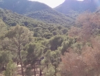 img_20150501_182720123