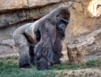 img_20150502_184513661_hdr