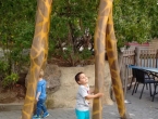 img_20150502_194617442