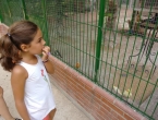 img_20150712_191906902