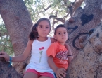 img_20150712_193609864
