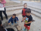 img_20150815_134401809
